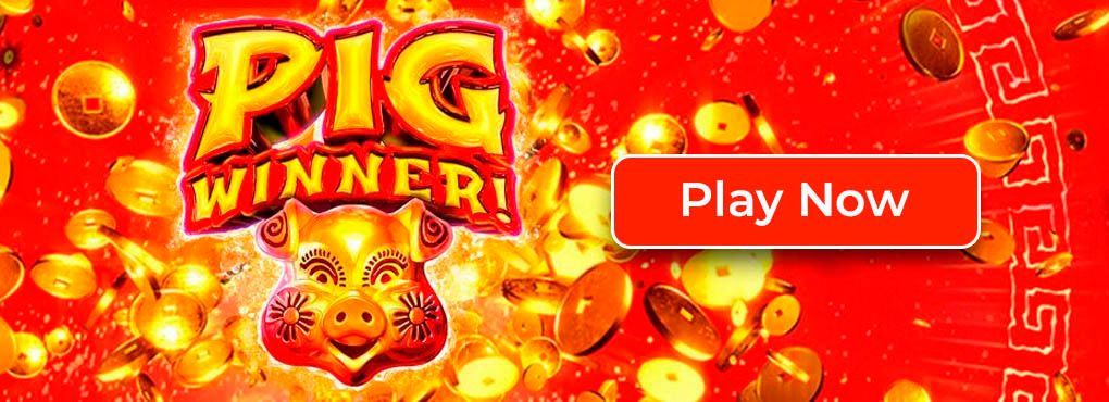 Pig Winner Slots